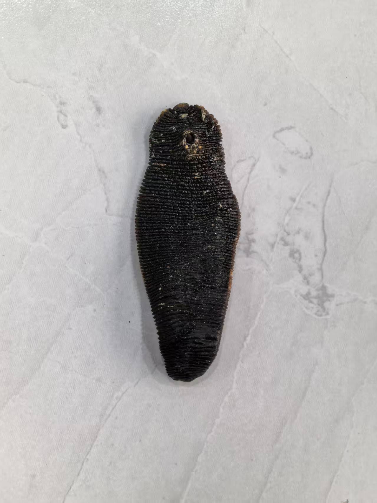 饮片统货货图片4